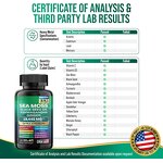 Moss Seed Oil Capsule - Manufacturer - Adult Dietary Supplement Immune Health Protection