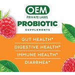 Probiotic Vitamin Gummy - Manufacturer - Adult Fruit Flavor Gastrointestinal Digestion Support