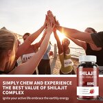 Shilajit CoQ10 Gummy - Manufacturer - Custom Xilizhi Coenzyme Q10 Adult Healthcare Cross-Border