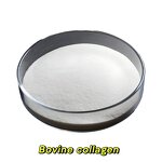 Bovine Collagen Powder - Manufacturer - GMO/Dairy/Gluten-Free Food Grade Fish Bone Protein