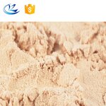 Hemp Protein Powder Manufacturer - Seed Extract Powder