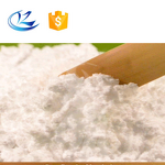 BCAA Powder Manufacturer - Instant Branched Chain Amino Acids