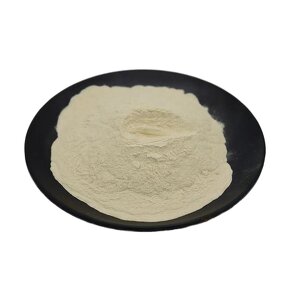 FOS Powder Manufacturer - Water-Soluble Dietary Fiber 99% Food Grade