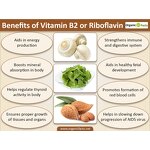 Riboflavin Powder Manufacturer - Vitamin B2 Food Grade