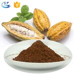 Cocoa Powder Manufacturer - 100% Pure Raw Food Grade
