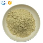 Hemp Protein Powder Manufacturer - Organic 80% Private Label