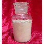 Sucrose Esters Powder Manufacturer - Food Grade Emulsifier & Stabilizer