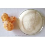 Arabic Gum Powder Manufacturer - Sudan Food Grade