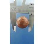 Macadamia Nuts Manufacturer - Shelled Hawaii New Crop