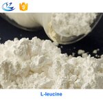 BCAA Powder Manufacturer - Branched Chain Amino Acids in Drum