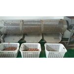 Macadamia Nuts Manufacturer - Shelled Hawaii New Crop