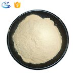 Dry Yeast Manufacturer - Low Sugar Instant Active