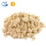 Hemp Protein Powder Manufacturer - Seed Extract Powder