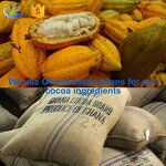 Cocoa Powder Manufacturer - Alkalized for Cookies Recipe