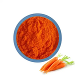 Beta Carotene Powder Manufacturer - Dried Food Color Additive