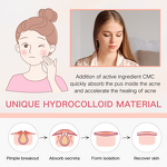 Acne Patch Manufacturer - Anthrive Wholesale Different Sizes Circle 12 18 20 24 30 36dots Hydrocolloid Pimple for Skin Care