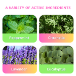 Mosquito Repellent Bracelet Manufacturer - Anthrive OEM Essential Oil Deet Free Waterproof EVA Anti Mosquito Citronella Wristband