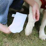 Pet Sock Manufacturer - Disposable PVC Outdoor Comfortable Cleanse Hand Foot Nourishing Moisturizing for Dog Cat