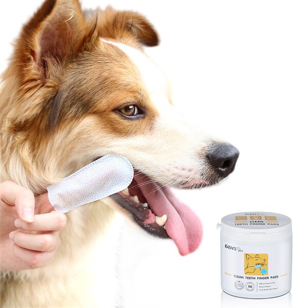 Pet Teeth Cleaning Brush Manufacturer - Finger Cot Sleeve Teddy Bad Breath Tartar Teeth Care Dog Cat Wet Wipes Dental Finger Stall