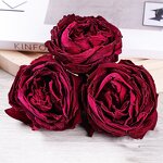 Freeze-Dried Rose Manufacturer - Superfood Organic Yunnan Plateau Grown Zero Additives Bulk Eco-Packaging