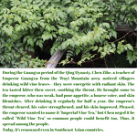 Detox Tea Manufacturer - Organic for Weight Loss Natural Herbs Loose Leaf Flavor Handmade Tea Bags High Polyphenols High Vitamin