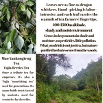 Detox Tea Manufacturer - Organic for Weight Loss Natural Herbs Loose Leaf Flavor Handmade Tea Bags High Polyphenols High Vitamin