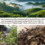 Detox Tea Manufacturer - Organic for Weight Loss Natural Herbs Loose Leaf Flavor Handmade Tea Bags High Polyphenols High Vitamin