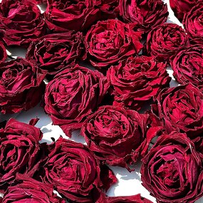 Rose Flower Tea Manufacturer - First-Harvest Large Blossoms of Organic Yunnan Roasted Dried Mohong Fragrant Nourishing Canned