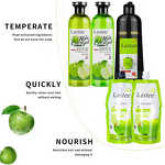 Hair Dye Shampoo Manufacturer - Natural Black Instantly Coloring Argan Oil Apple Hair Care Ammonia Free Long Lasting & Private Label
