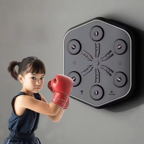 Music Boxing Machine Manufacturer - High Quality Multifunctional Fitness