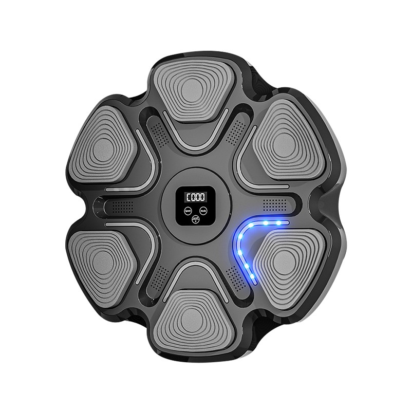 Boxing Training Equipment Factory - Upgraded Speed Adjustment Reaction