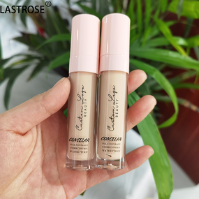 Concealer Manufacturer - Long Lasting Vegan Cruelty Free Face Makeup Matte High Definition Liquid & Wholesale Private Label