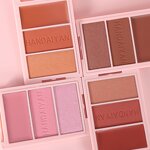 Blush Palette Manufacturer - HANDAIYAN Vegan 3D Blush Trio Mineral Powder Cosmetic Eyeshadow and Highlighter for Face