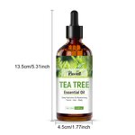Essential Oil Manufacturer - RUOALL 100ml Tea Tree