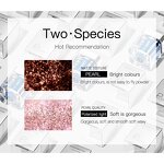 Eyeshadow Manufacturer - Diamond Loose Glitter Pigment Shimmer & Free Sample Wholesale Private Label