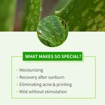 Aloe Vera Gel Manufacturer - Private Label Moisturizing Clear After Sun Forever Soothing 99 Bio Natural Plastic Cosmetic Jar