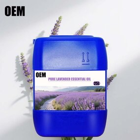 Lavender Essential Oil Manufacturer - Organic Natural Aromatic Diffuser Oil for Sleep Relaxation Body Massage-Wholesale