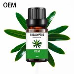 Lemon Eucalyptus Oil Manufacturer - Factory Price Plant Extract Pure Natural Organic for Mosquito Repellent Free Sample