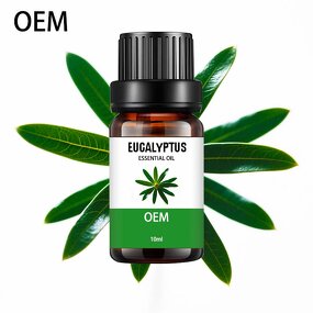 Lemon Eucalyptus Oil Manufacturer - Factory Price Plant Extract Pure Natural Organic for Mosquito Repellent Free Sample