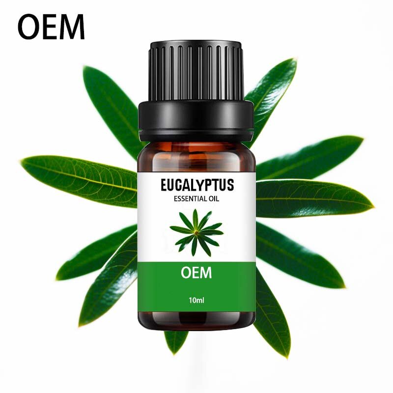 Lemon Eucalyptus Oil Manufacturer - Factory Price Plant Extract Pure Natural Organic for Mosquito Repellent Free Sample
