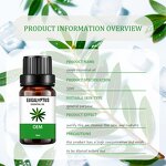 Lemon Eucalyptus Oil Manufacturer - Factory Price Plant Extract Pure Natural Organic for Mosquito Repellent Free Sample