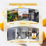 Sweet Orange Essential Oil Manufacturer - Manufacturer's Pure for Skincare Beauty Wholesale Raw Peel Material Daily Supply