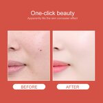 CC Cream Manufacturer - New Design Unique Mushroom Brush Air Cushion Isolation Concealer