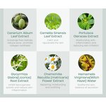 Face Cleanser Manufacturer - Laikou Tea Tree Anti-Acne Gentle Cleansing Facial Foam