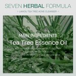 Face Cleanser Manufacturer - Laikou Tea Tree Anti-Acne Gentle Cleansing Facial Foam