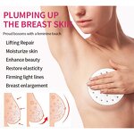 Collagen Compact Breast Patch Manufacturer - Hot Selling Customized Private Label Natural Organic Herbal High Quality
