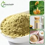 Pine Pollen Extract Powder Manufacturer - High Quality Wholesale 1kg