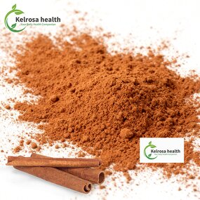 Cinnamon Powder Manufacturer - High Quality Dry Bark Plant Extract Spice Grown Ceylon Natural