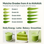 Matcha Powder Manufacturer - Tin Can Cafe Grade Culinary Premium Japan Brand Supplier Ceremonial Grade Japan