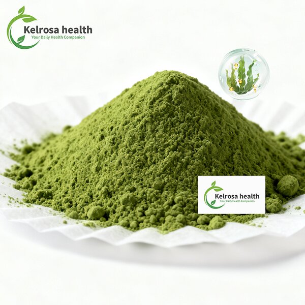 Chlorella Powder Manufacturer - Extract Chlorella Vulgaris Organic Flavored Wholesale Food Grade